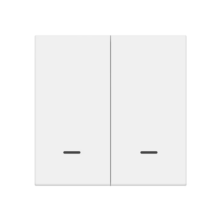 2 Gang 2 Scene EU Standard Zigbee Smart Switch – Voice & App Control