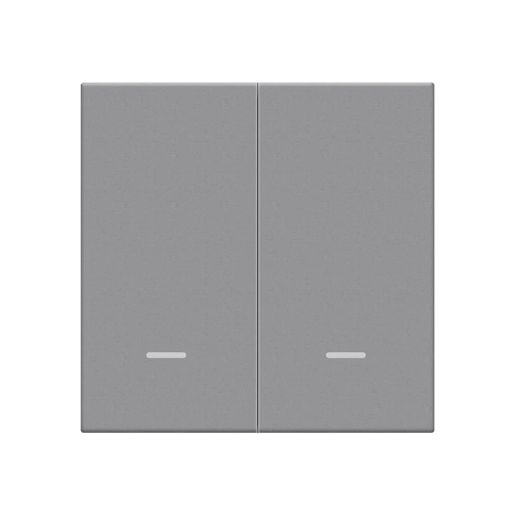 2 Gang 2 Scene EU Standard Zigbee Smart Switch – Voice & App Control