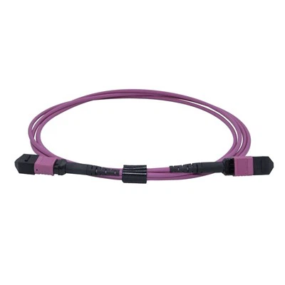 Многомодовый оптоволоконный патч-корд MPO LSZH OM4 12-Core, 3 м