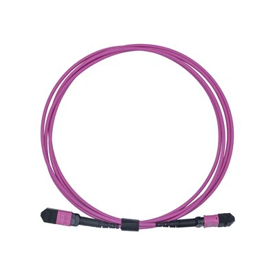 Многомодовый оптоволоконный патч-корд MPO LSZH OM4 12-Core, 3 м